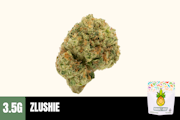 3.5g Zlushie (Greenhouse Smalls) - Humble Root