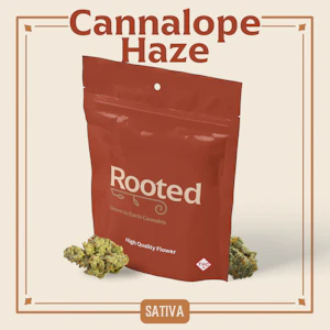 ROOTED - ROOTED - CANNALOPE HAZE 3.5 GRAMS