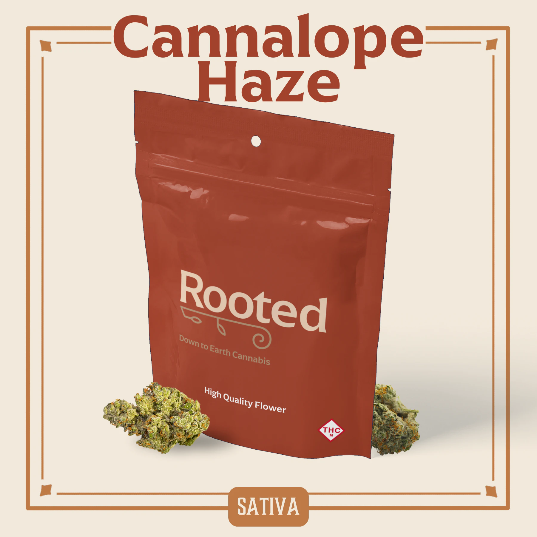 Rooted - ROOTED - CANNALOPE HAZE 3.5 GRAMS Main Image