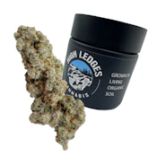 GMO - 3.5g - High Ledges