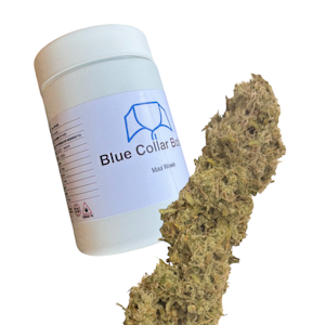 Blue Collar Botany - Maui Wowie - 3.5g - Blue Collar Botany