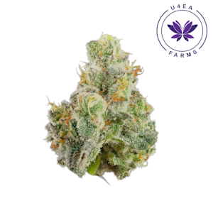 U4EA Farms - Space Runtz - 3.5g - U4EA Farms