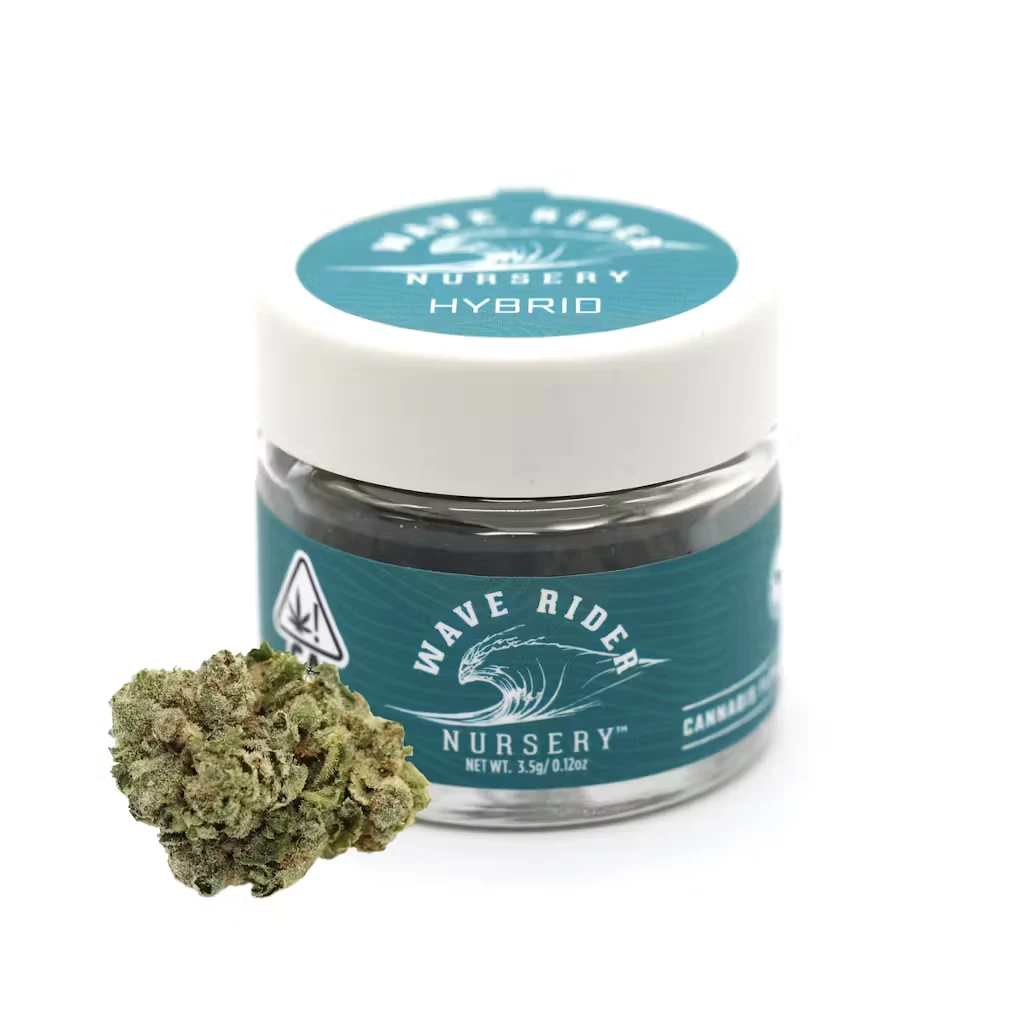 Wave Rider - GG4 (H) | 3.5g Jar | Wave Rider Main Image