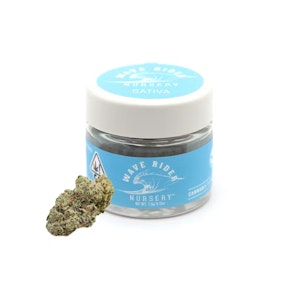 Wave Rider - Fruit Punch (S) | 3.5g Jar | Wave Rider