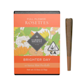3.75g Key Lime Jack Mini Pre-Roll Pack (.375g - 10 pack) - Garden Society