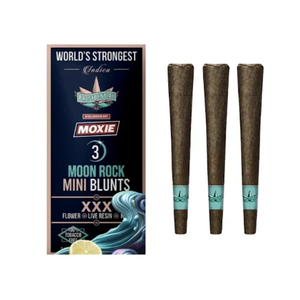 Presidential - Presidential - 3pk Moon Rock Blunts - XXX Main Image