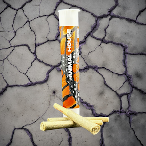 ANIMAL HOUSE - Animal House | Sour Gorilla - Kief infused pre roll | (2pk)0.75 each