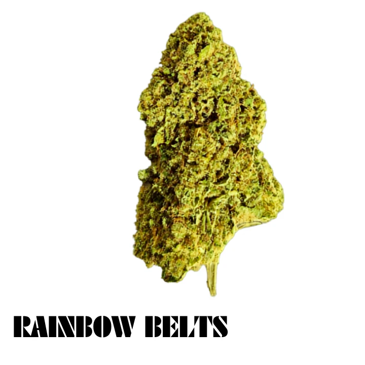 Truforia - Truforia - Rainbow Belts Main Image