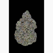 Aether Fields | Gelatosphere 3.5g (Indica) - Premium Indoor Flower