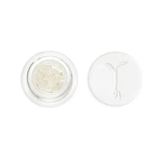 Raw Garden Diamonds - Wedding Breath 83%