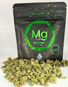 Microgreens - Micro Greenz - Flower - White Runtz x Jet Fuel - 7G