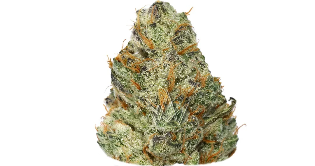 CBX: Cannabiotix - Cannabiotix - GM-uhOh - 14g Main Image
