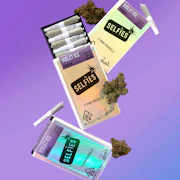 Preroll 12 Pack (3g) - Violet Ice