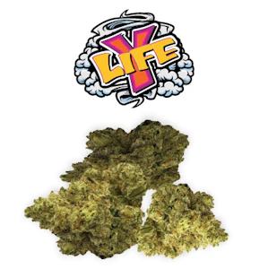 RIO VISTA FARMS - Y-Life 7g Bag - Rio Vista Farms 