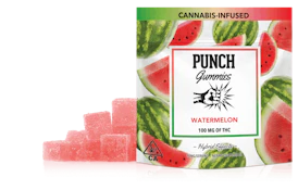 Punch - 100mg Gummies - Watermelon