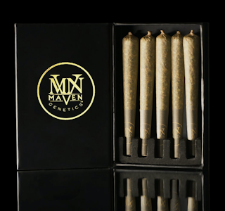 Maven - Maven - Blue Lotus - 5pk PreRoll