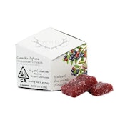 Wyld - Huckleberry Hybrid Gummies 100mg