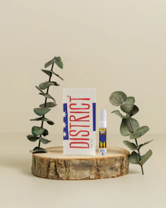 DISTRICT CANNABIS - Strawberry Fizz | Distillate Cartridge | 1g | District Cannabis