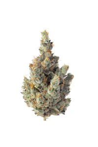 SENSE - Sense Premium Flower 3.5g - GMO 31%