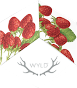 Northwest Confections, NM - WYLD - Strawberry 20:1 (10mg THC / 200mg CBD) Hybrid Enhanced