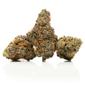 Pearl Pharma - Flower - Indoor - Double Bubble - 3.5g