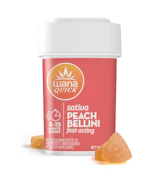 Peach Bellini - Sativa [10 pack]