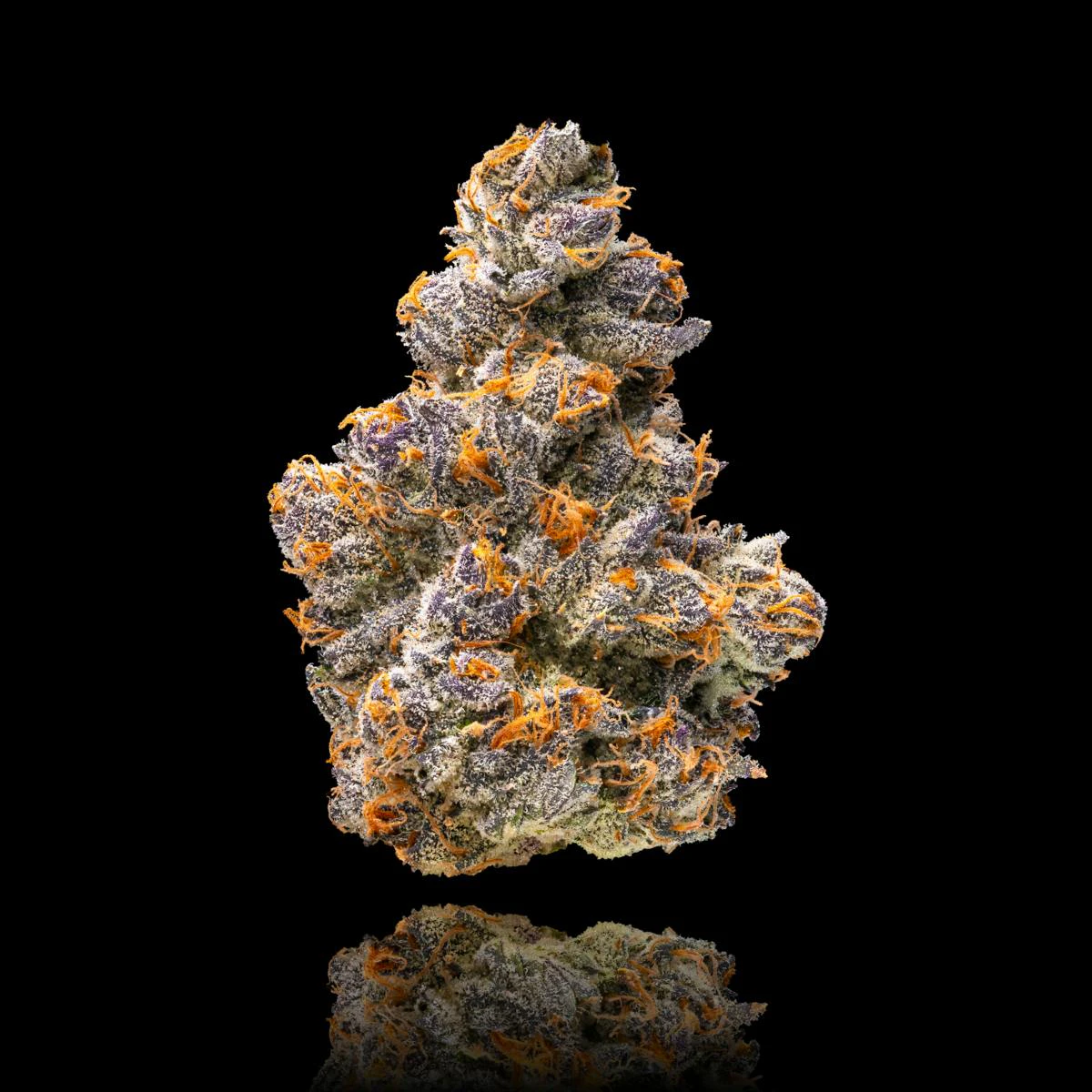 Maven Genetics - [MAVEN] FLOWER - 1G -  Orange Sapphire (S) Main Image