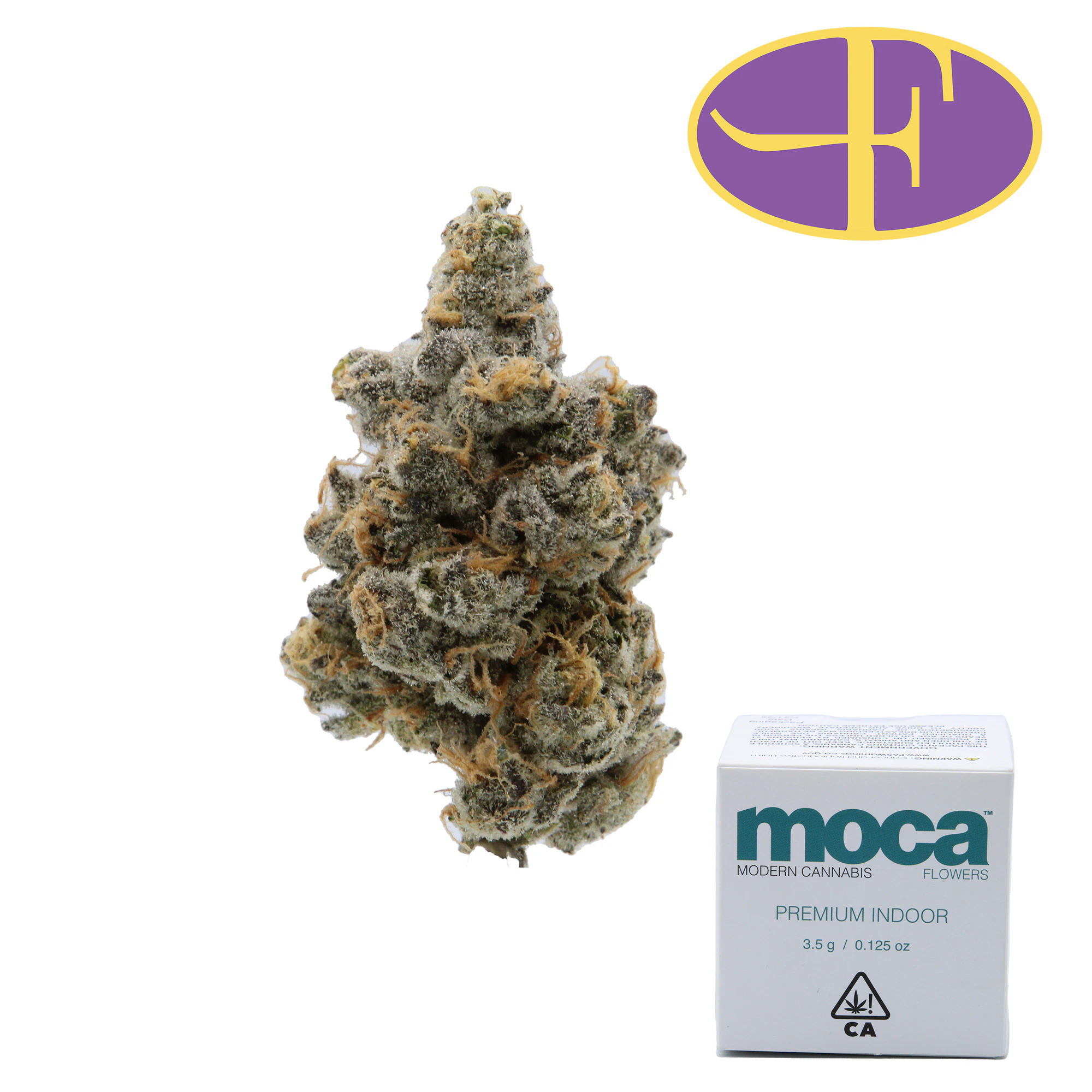 Moca - Gary Payton Main Image