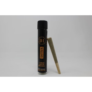 Original Intelligence - Original Intelligence PR - Sativa 2-Pack 1g