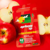 Orchard Sunrise | 10 pk