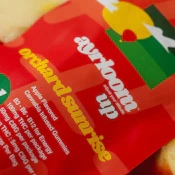 Ayrloom - Orchard Sunrise "UP" 2:1 Gummies 10 Pack