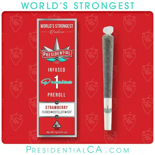 Presidential - [Presidential] Infused Moonrock Preroll - 1g - Strawberry (I) Main Image