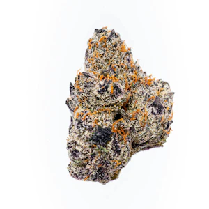 The Cure Company - The Cure Company Flower Curelato 1g Preroll