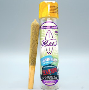 Malibu - Funboard Most Wanted - 1g Infused Pre-Roll