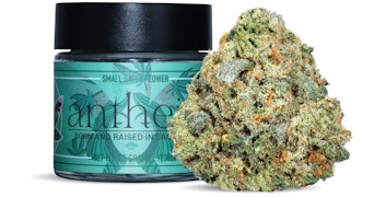 Antheia - El Carmel - 3.5g