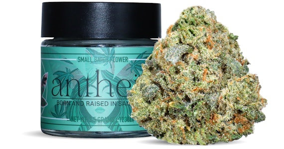 Antheia - Antheia - El Carmel - 3.5g