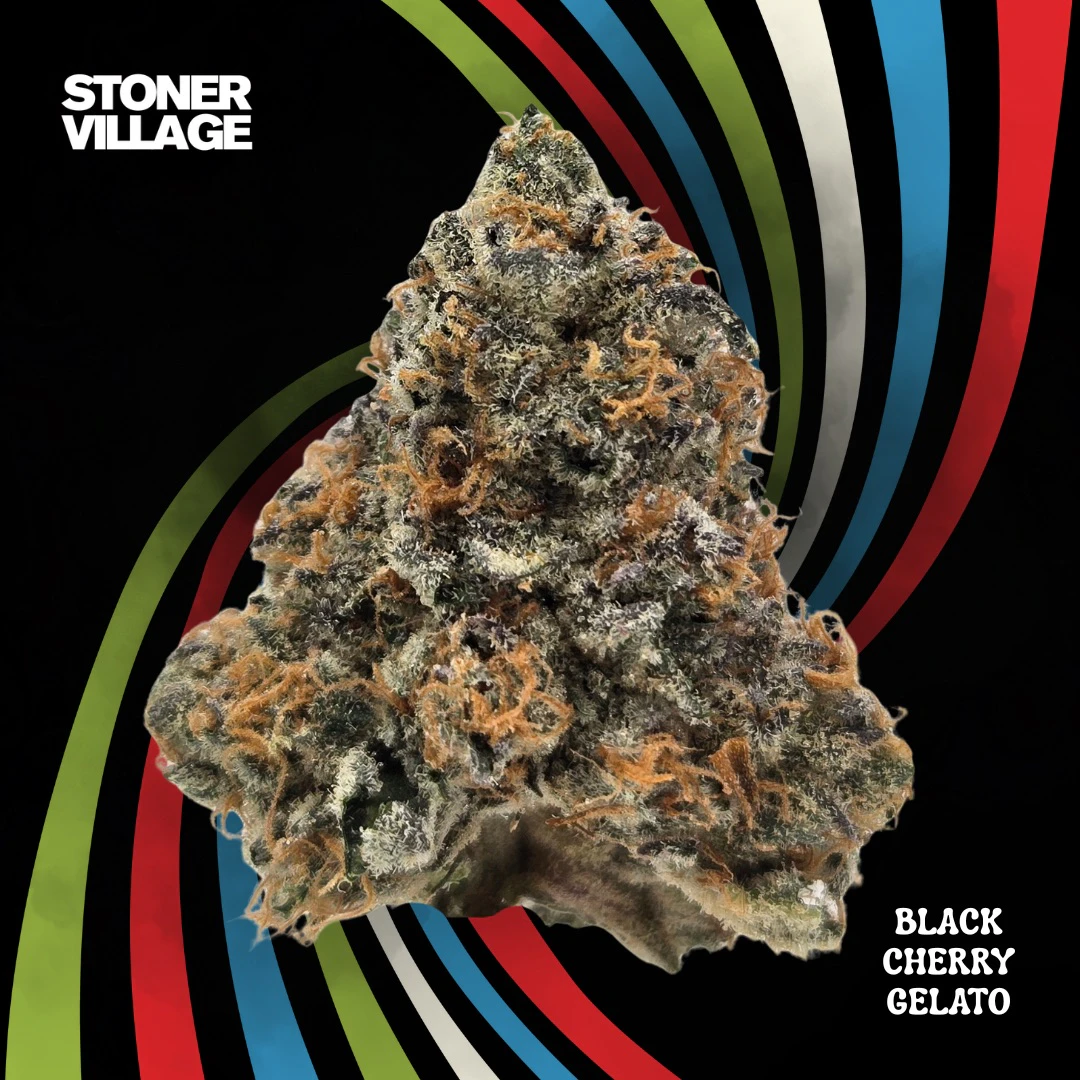 STONER VILLAGE - StonerVillage | Premium Flower | Black Cherry Gelato | 3.5g Main Image