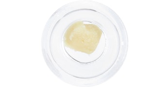 Humboldt Terp Council - GMOB Live Rosin - 1g