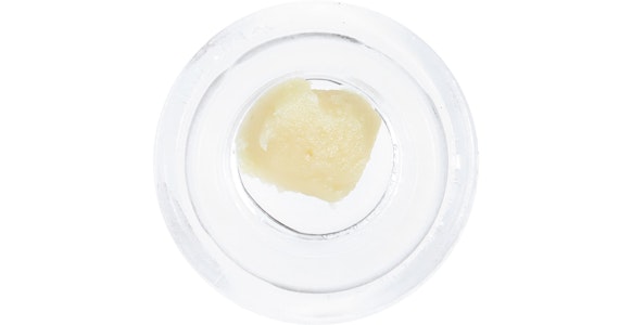 HUMBOLDT TERP COUNCIL - Humboldt Terp Council - GMOB Live Rosin - 1g