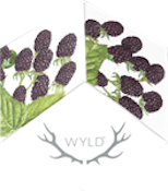 WYLD - Marionberry (100mg THC) Indica Enhanced