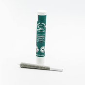 WAVE RIDER | ANIMAL MINTZ | PREROLL | 1G