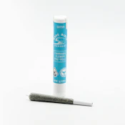 Pipe Dream [S] 1g Pre-roll Wave Rider