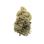 Red Congolese - 3.5g (SH) - UpNorth