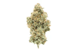 UpNorth - Flower - Indoor - NF1 - 3.5g