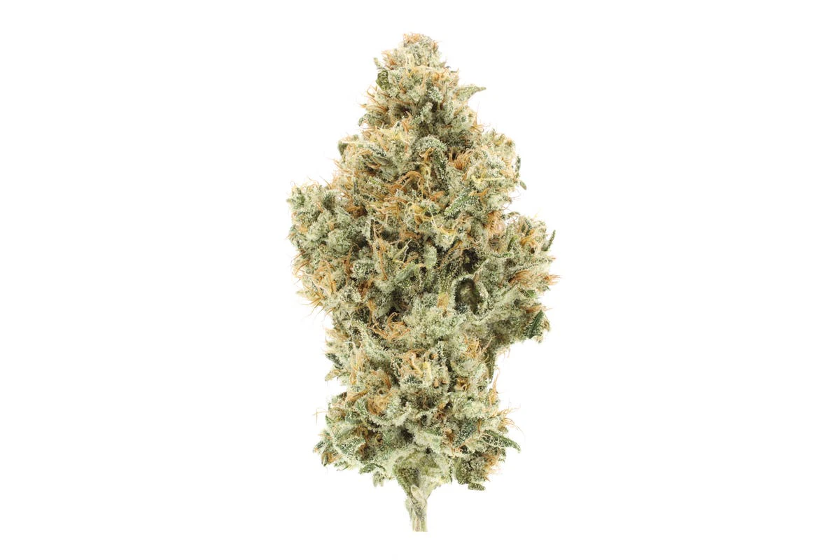 UpNorth - UpNorth - Flower - Indoor - NF1 - 3.5g Main Image