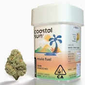 Mule Fuel - 3.5g (I) - Coastal Sun