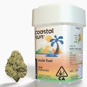 COASTAL SUN - Mule Fuel - 3.5g (I) - Coastal Sun
