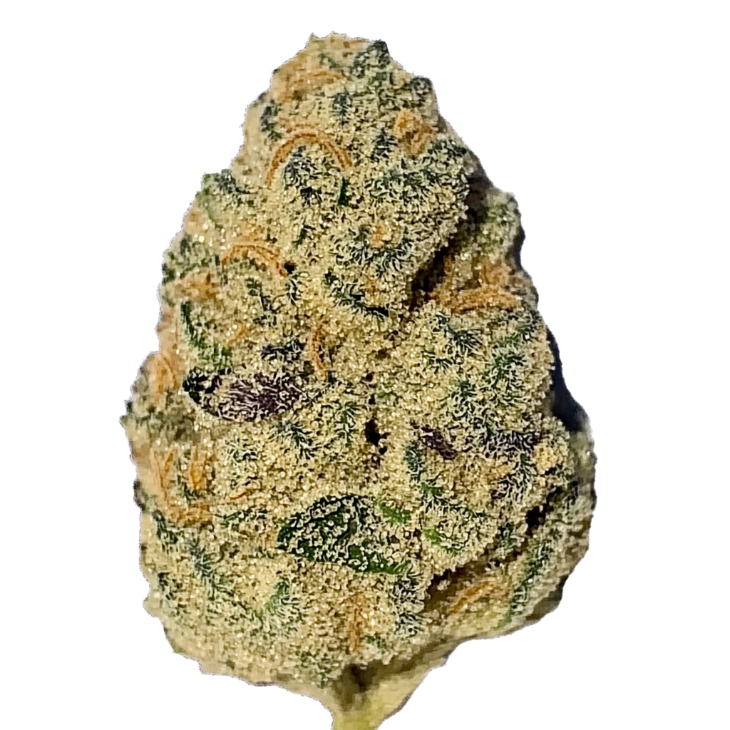 SUMMIT - Summit | Sour Sorbet Main Image