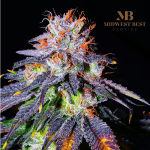 Node Labs - Clones - Melonade #8 - (SH) Node Labs