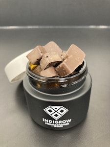 Milk Chocolate Edibles - 100MG Total